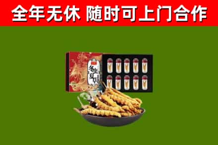 焉耆县回收冬虫夏草价格